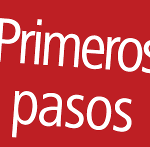 Primeros pasos