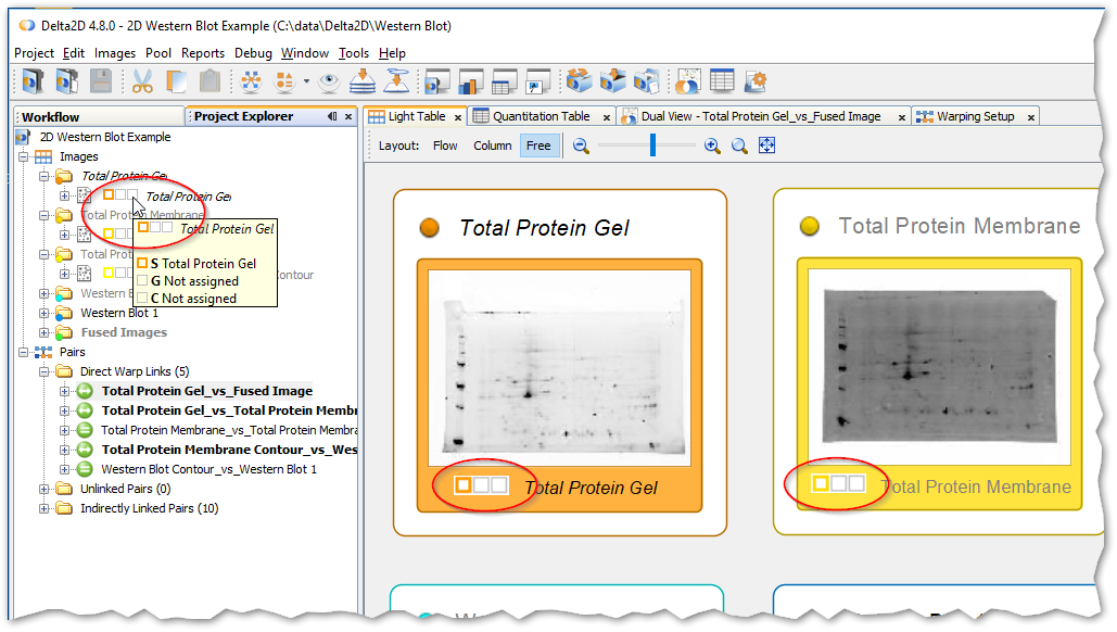 Indication of Sample, Gel and Channel assigned to a Gel Image Image Attributes indication