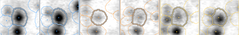 Gel Image Regions View