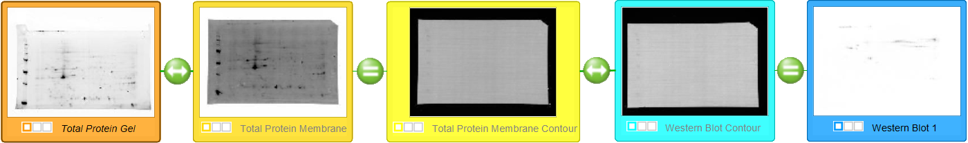 2D Western Blot aligned to a Total Protein gel with the help of support images Warping setup of a 2D-Western-Blot project type