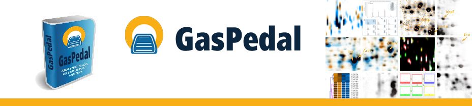GasPedal banner